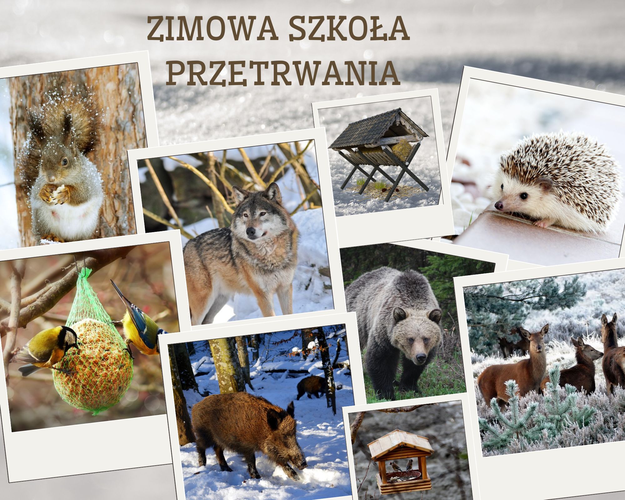 Zimowa szkoła przetrwania