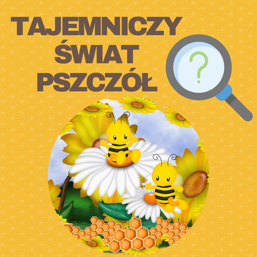 Tajemniczy świat pszczół