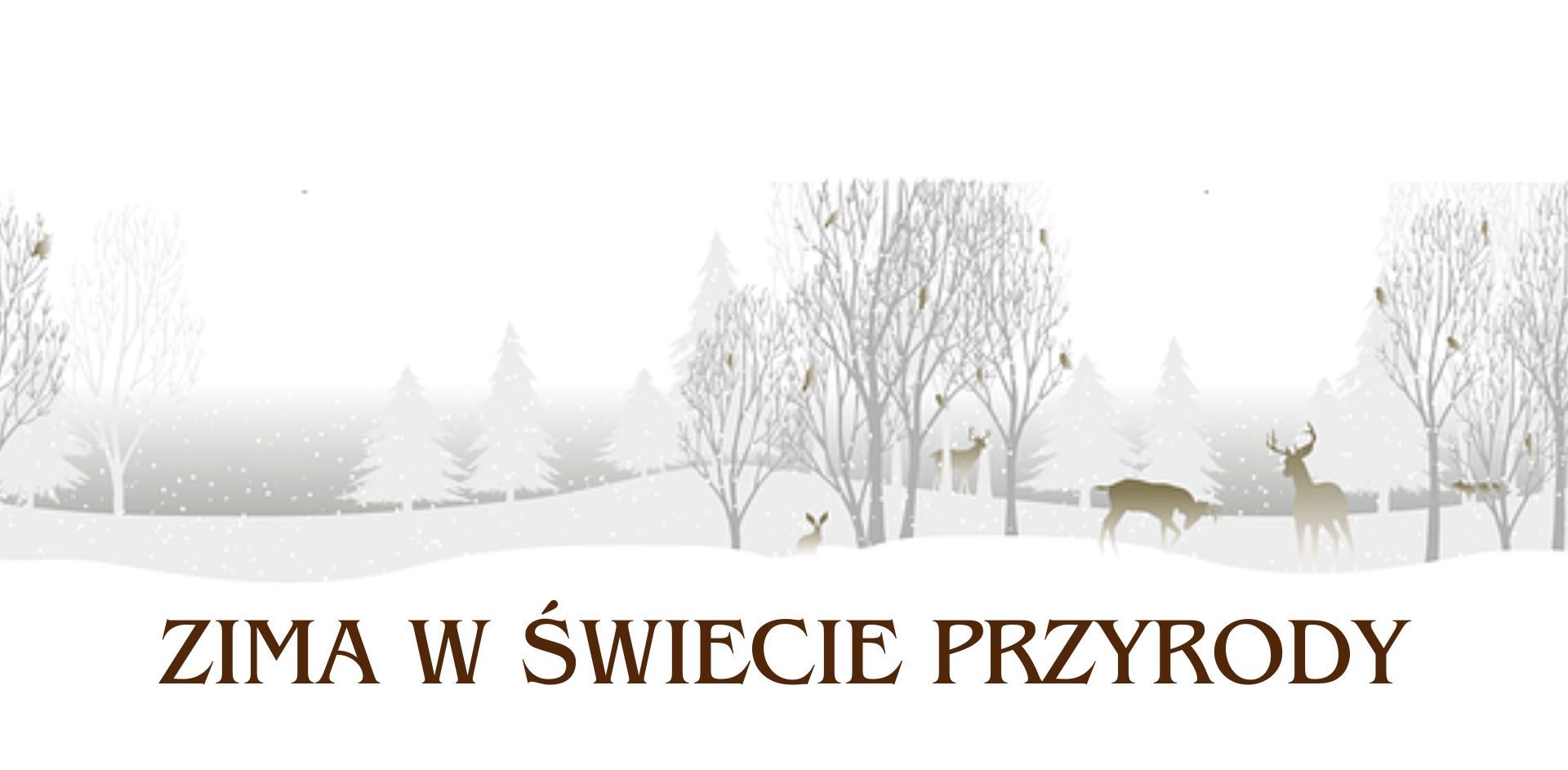 Zima w świecie przyrody